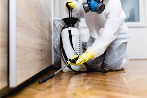 Best Ant Control Services  in Roscoe, TX