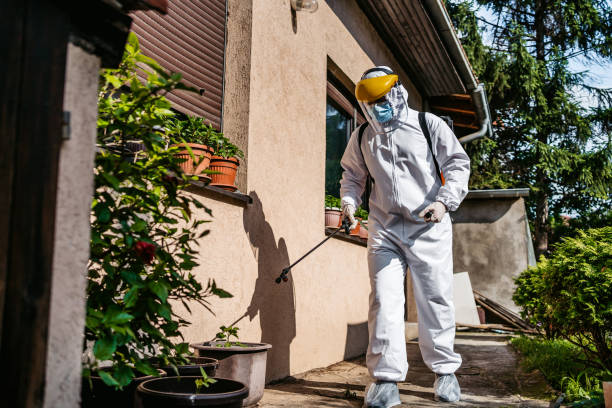 Best Pest Control for Businesses  in Roscoe, TX