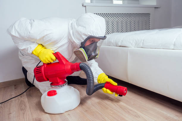Best Bed Bug Extermination  in Roscoe, TX